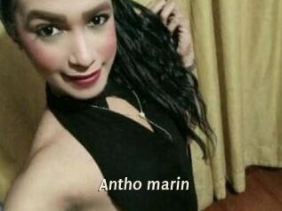 Antho_marin