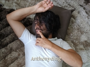 Anthonyding