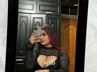 Anto