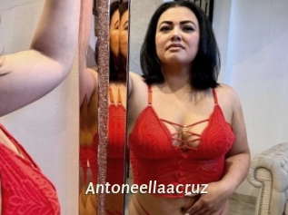 Antoneellaacruz