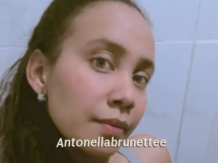 Antonellabrunettee
