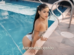 antonellacossio Blog éjac