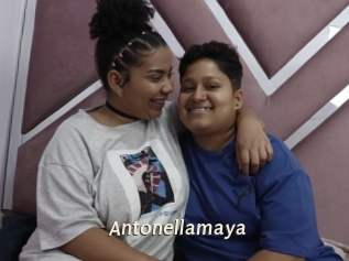 Antonellamaya