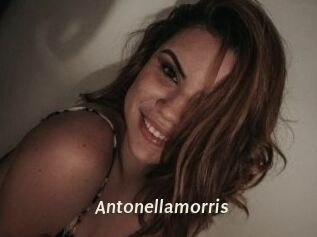 Antonellamorris