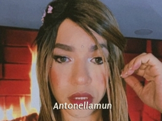 Antonellamun
