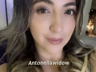 Antonellawidow