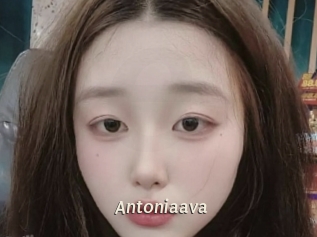 Antoniaava