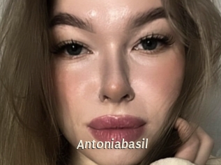Antoniabasil