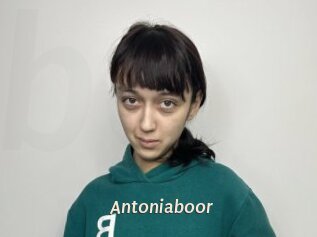 Antoniaboor