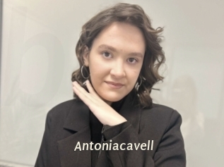 Antoniacavell