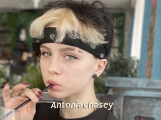 Antoniachasey
