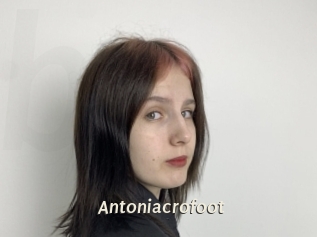 Antoniacrofoot
