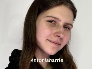 Antoniaharrie
