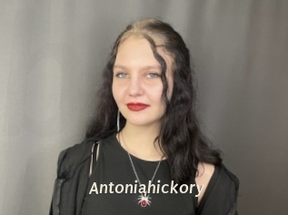 Antoniahickory