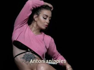 Antonianipples