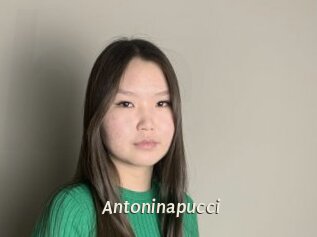 Antoninapucci
