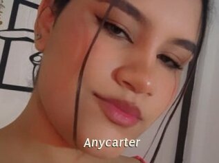 anycarter Blog éjac
