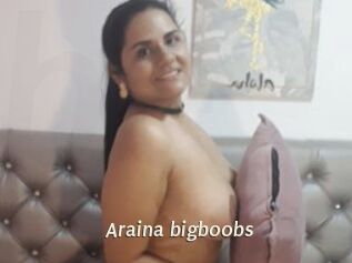 Araina_bigboobs