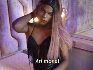 Ari_monet