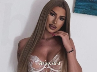 Ariacara