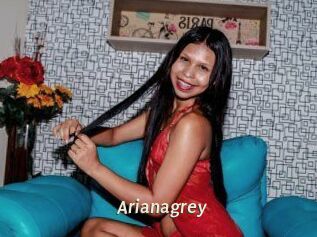 Arianagrey
