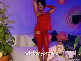 Ariebonybrooke