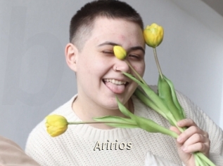 Aririos