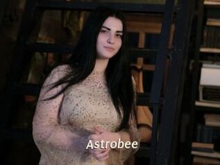 Astrobee