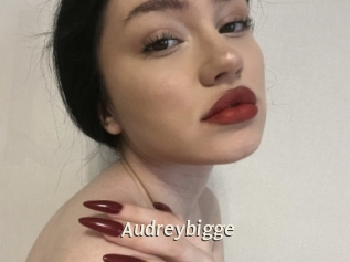 Audreybigge