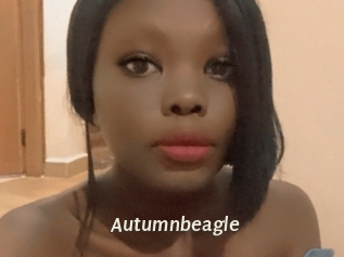 autumnbeagle Blog éjac