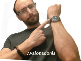 Avalonadonis