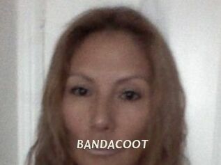 BANDACOOT