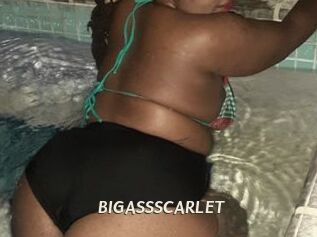 BIGASSSCARLET