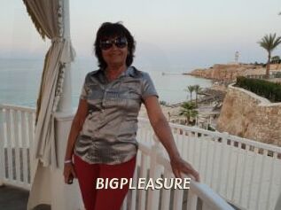 BIGPLEASURE