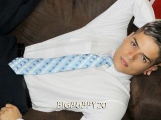 BIGPUPPY20