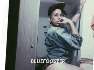 BLUEFOOSTER