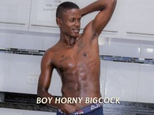 BOY_HORNY_BIGCOCK