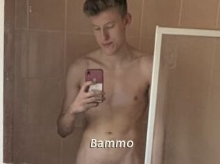 Bammo