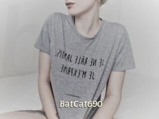 BatCat690