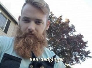 Beardedginger