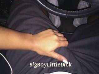 BigBoyLittleDick