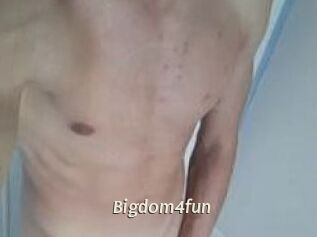 Bigdom4fun