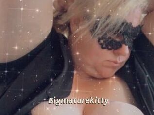 Bigmaturekitty