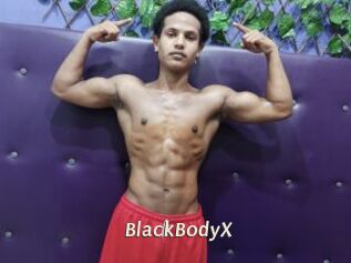 BlackBodyX