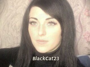 BlackCat23