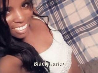 Black_Harley