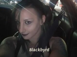 Blackbyrd