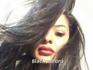 Blackcatforu