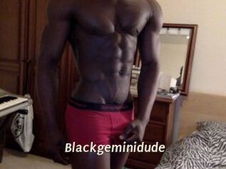 Blackgeminidude