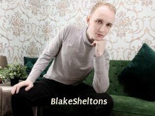 BlakeSheltons
